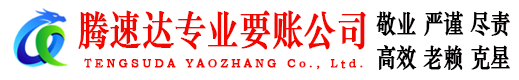 龙泉腾速达清债公司